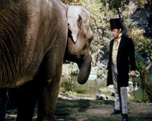 REX HARRISON DOCTOR DOLITTLE WITH ELEPHANT PRINTS AND POSTERS 285613