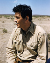 ROCK HUDSON GIANT ICONIC LOOK IN PROFILE TEXAS RANCH PRINTS AND POSTERS 285594