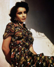 ELIZABETH TAYLOR PRINTS AND POSTERS 285536
