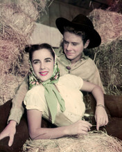 ELIZABETH TAYLOR RARE PORTRAIT WITH JACKIE COOPER IN HAY BARN PRINTS AND POSTERS 285374