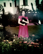 ELIZABETH TAYLOR IN HER HOLLYWOOD GARDEN HOLDING CAT FROM ORIGINAL PRINTS AND POSTERS 285365