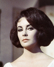 ELIZABETH TAYLOR HEAD SHOT BOBBED HAIR PRINTS AND POSTERS 285360
