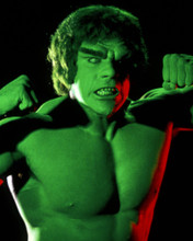 THE INCREDIBLE HULK PRINTS AND POSTERS 285348