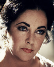 ELIZABETH TAYLOR STRIKING HEAD SHOT CIRCA LATE 1970'S PRINTS AND POSTERS 285336