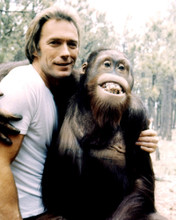 CLINT EASTWOOD EVERY WHICH WAY BUT LOOSE WITH CLYDE ORANGUTAN SMILE PRINTS AND POSTERS 285264