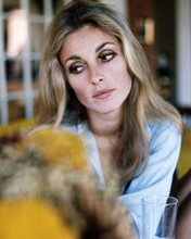 SHARON TATE PRINTS AND POSTERS 285149
