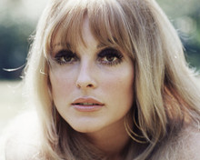 SHARON TATE PRINTS AND POSTERS 285122