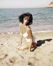 ELIZABETH TAYLOR PRINTS AND POSTERS 285088
