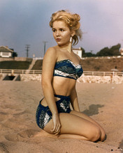 TUESDAY WELD PRINTS AND POSTERS 285081