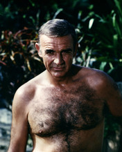 SEAN CONNERY PRINTS AND POSTERS 285072