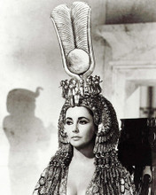ELIZABETH TAYLOR BUSTY CLEOPATRA EGYPTIAN HEADDRESS STUNNING PRINTS AND POSTERS 284963