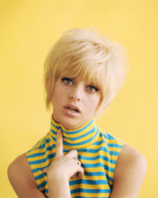 GOLDIE HAWN ICONIC 1960'S LAUGH IN ERA STUDIO POSE YELLOW BACKDROP PRINTS AND POSTERS 284893
