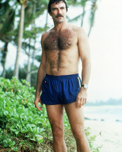 TOM SELLECK PRINTS AND POSTERS 284859