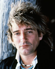 ROD STEWART PRINTS AND POSTERS 284848