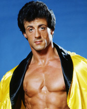 SYLVESTER STALLONE PRINTS AND POSTERS 284832