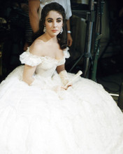 ELIZABETH TAYLOR PRINTS AND POSTERS 284821