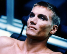 DOLPH LUNDGREN PRINTS AND POSTERS 284612