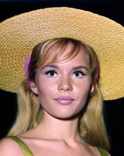 TUESDAY WELD PRINTS AND POSTERS 284431