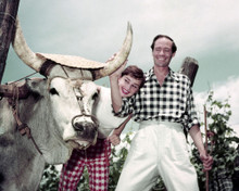 AUDREY HEPBURN WITH HUSBAND MEL FERRER POSING BY BULL RARE SHOT PRINTS AND POSTERS 284380
