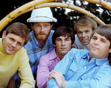 THE BEACH BOYS PRINTS AND POSTERS 284151