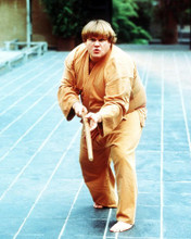 CHRIS FARLEY BEVERLY HILLS NINJA IN KARATE STANCE PRINTS AND POSTERS 284040