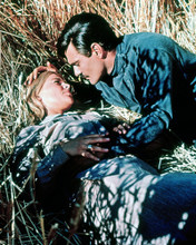 JULIE CHRISTIE OMAR SHARIF DOCTOR ZHIVAGO IN FIELD PRINTS AND POSTERS 284034