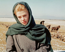 JULIE CHRISTIE DOCTOR ZHIVAGO RUSSIAN FIELDS IN BACKGROUND PRINTS AND POSTERS 284032