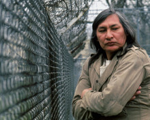 WILL SAMPSON PRINTS AND POSTERS 284008