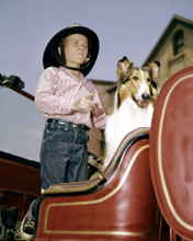 JON PROVOST AND LASSIE PRINTS AND POSTERS 283956