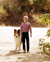 JON PROVOST AND LASSIE PRINTS AND POSTERS 283954