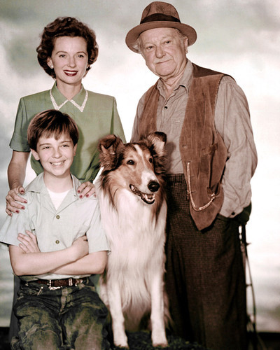 Jon Provost Lassie Posters And Photos 283953 Movie Store 