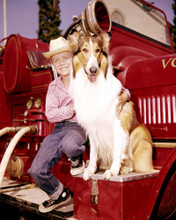 JON PROVOST AND LASSIE PRINTS AND POSTERS 283952