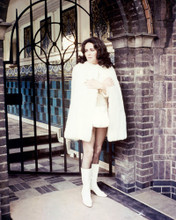 ELIZABETH TAYLOR PRINTS AND POSTERS 283870