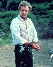 MICHAEL CAINE PRINTS AND POSTERS 283776