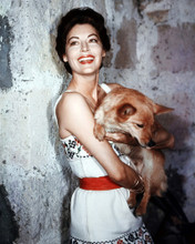 AVA GARDNER AMILING POSE HOLDING DOG 1950'S PRINTS AND POSTERS 283691
