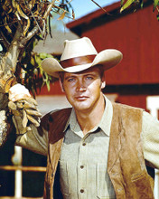 BIG VALLEY LEE MAJORS STETSON & WAISTCOAT PRINTS AND POSTERS 283476
