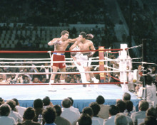 MUHAMMAD ALI VS GEORGE FOREMAN BOXING PRINTS AND POSTERS 283235