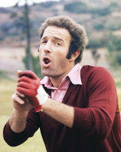 JAMES CAAN WEARING GOLF GLOVE 1970'S RARE PRINTS AND POSTERS 283162