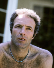 JAMES CAAN HUNKY BARECHESTED 1970'S POSE PRINTS AND POSTERS 283128