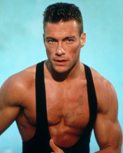JEAN-CLAUDE VAN DAMME VEST BARECHEST HUNKY PRINTS AND POSTERS 282740