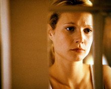 SEVEN GWYNETH PALTROW PRINTS AND POSTERS 282578