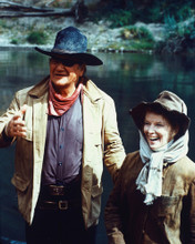 ROOSTER COGBURN PRINTS AND POSTERS 282516