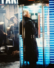 BLADE RUNNER RUTGER HAUER PRINTS AND POSTERS 282464