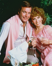 HART TO HART ROBERT WAGNER STEFANIE POWERS PRINTS AND POSTERS 282461