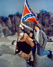 THE BEVERLY HILLBILLIES CONFEDERATE FLAG PRINTS AND POSTERS 282378