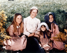 LITTLE HOUSE ON THE PRAIRIE MELISSA GILBERT CAST PRINTS AND POSTERS 282274