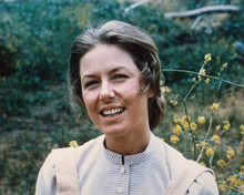 LITTLE HOUSE ON THE PRAIRIE KAREN GRASSLE PRINTS AND POSTERS 282272