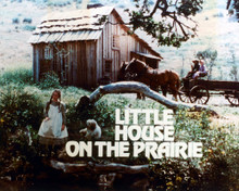 LITTLE HOUSE ON THE PRAIRIE PRINTS AND POSTERS 282267