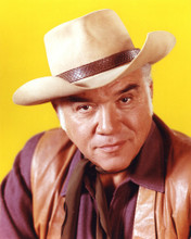 LORNE GREENE PRINTS AND POSTERS 282160