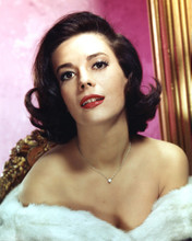 NATALIE WOOD BUSTY CLASSIC GLAMOUR PIN UP PRINTS AND POSTERS 282017